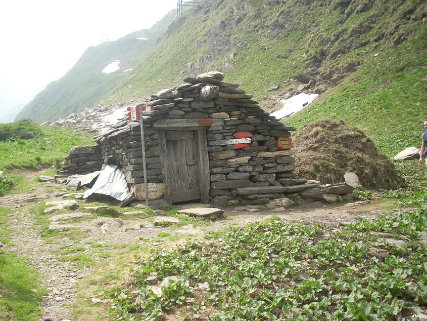 Portoni